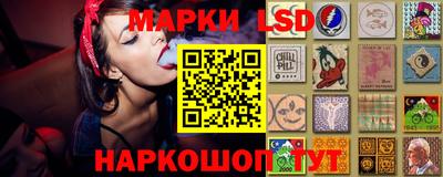 mdpv Ачхой-Мартан