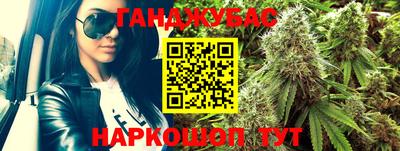 mdpv Ачхой-Мартан