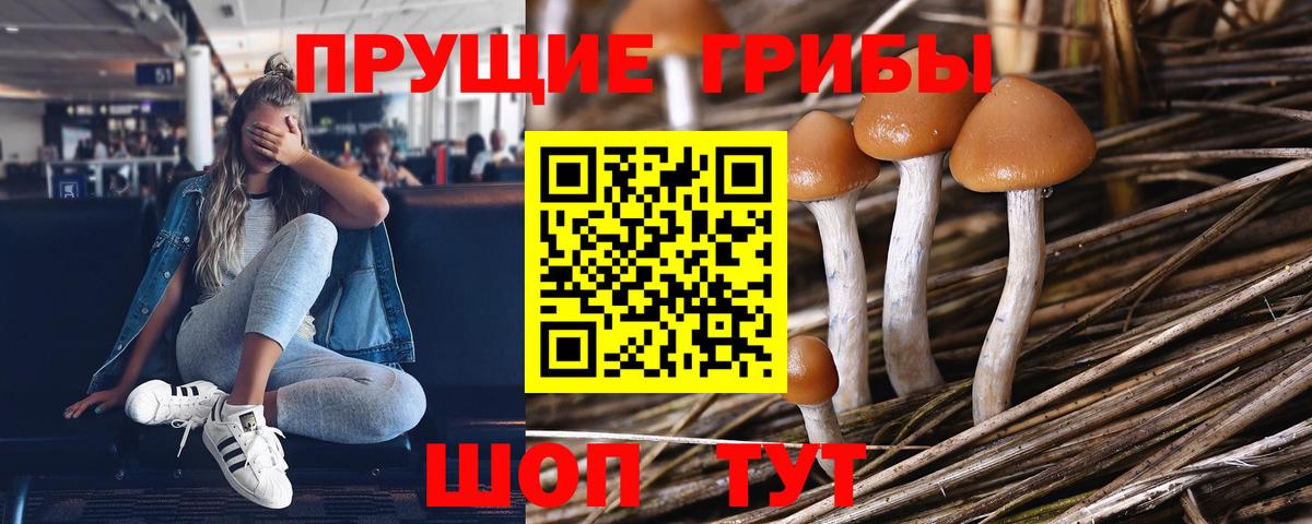 Галлюциногенные грибы ЛСД Алексин